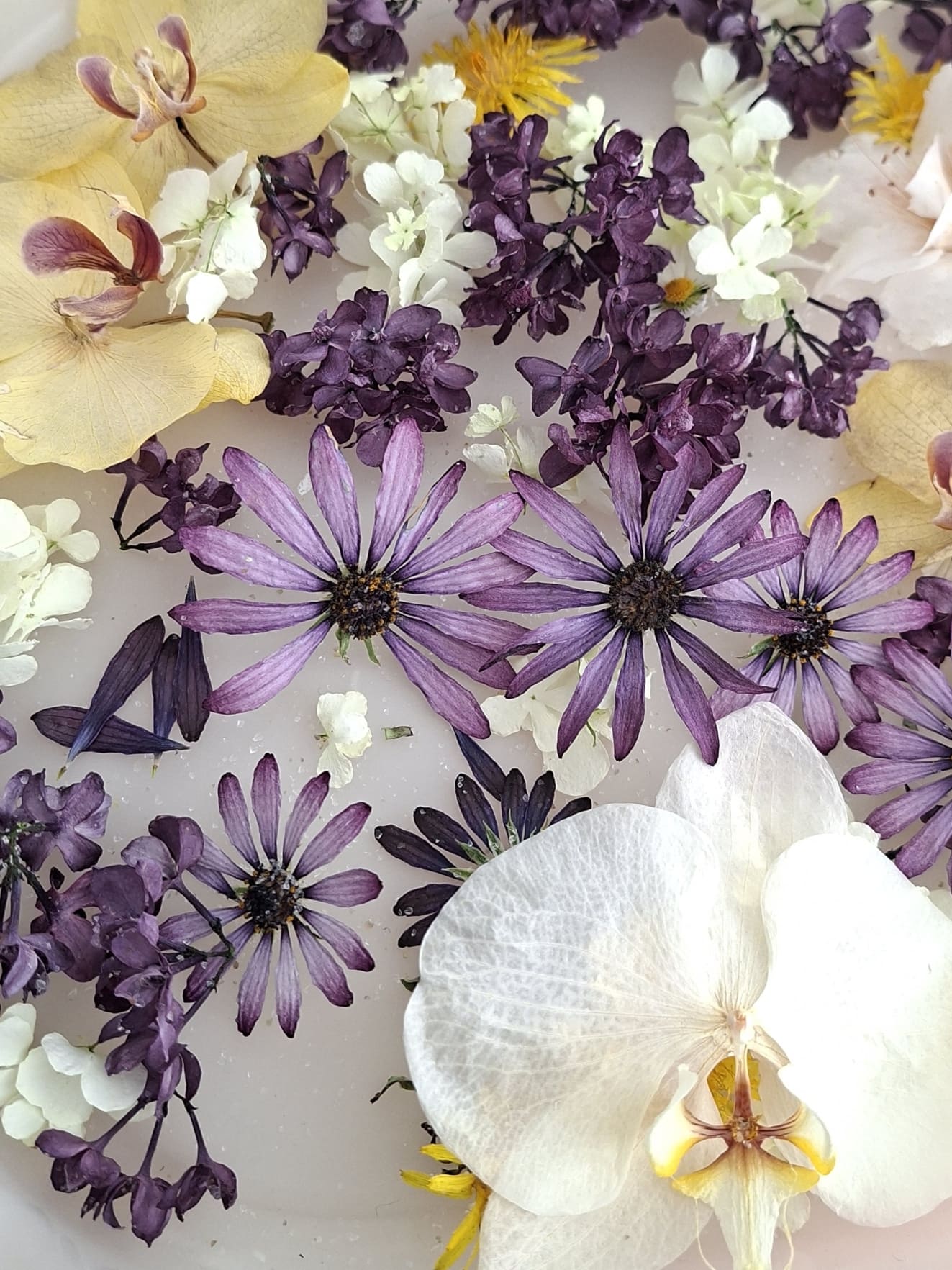 L’UPCYCLING VEGETAL