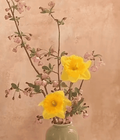 Bouquet de jonquilles jaunes et branches de cerisier sakura dans un vase vert, inspiration florale pour Anneficelle Créations.